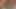 seksi twink oyun ile sıcak kesilmemiş horoz