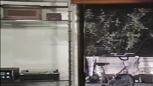 Orijinal seks akademisi (1985)