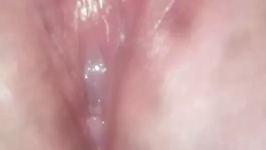 yakın çekim KEDİ oyun