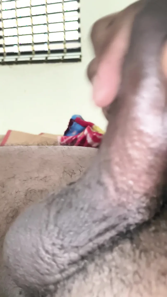 Sabah mastürbasyonu