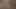 amatör 355