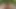 Two hot ass on vacation get wet and share a stripper's hard cock