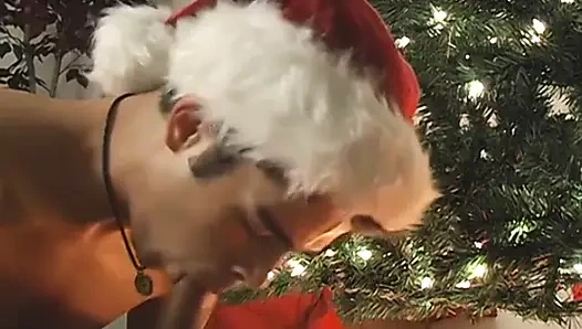 Jock, arkadaşını emerken Noel Baba şapkası takıyor