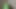 Desi sexy stepsister home alone masturbating cucumber