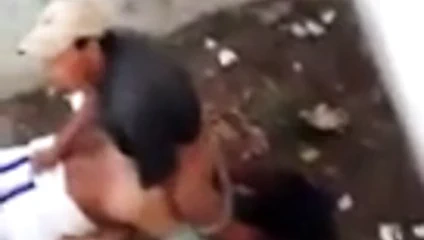 Erkeklerin bazılarıyla seks yapması