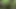 Fuck and Suck BIG Tits Stranger in Woods