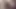 Üç babes ve bir damızlık var bazı yaramaz bdsm eğlence
