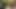 Lucy Thai anal seks ve çifte penetrasyon içeren açık havada üçlü grup seks fotoğraf çekimine katılıyor