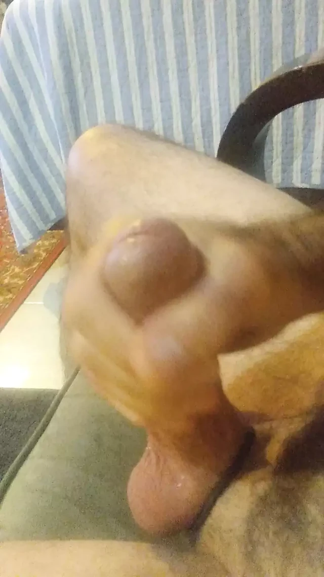 Büyük zenci yarağı mantar kafa beyaz altını vuruyor