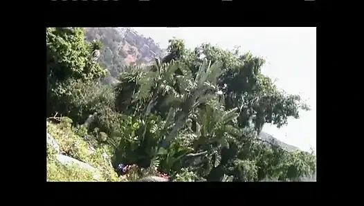 Edepsiz cinsel hayalperestler