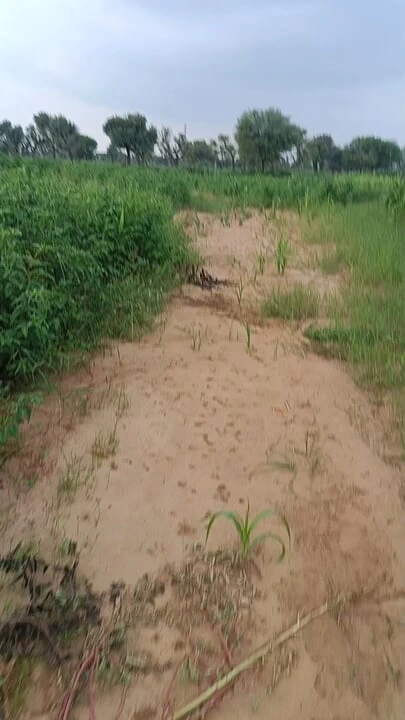 Ormanda sikişiyor videosu