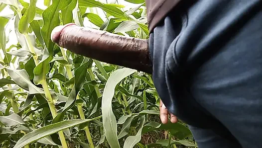 Makka ke khet me oil se malish apne lambe land ki