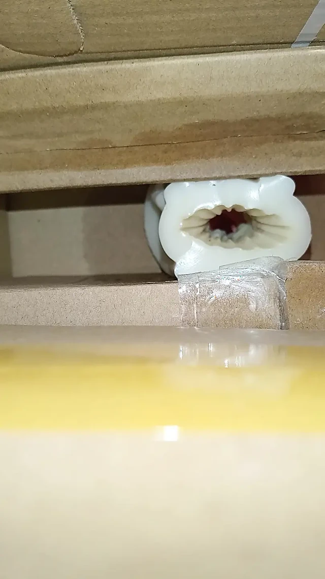Ev yapımı silikon amın içine boşalma