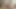 Video 113