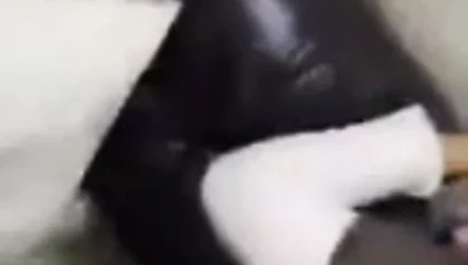 turbanli karisini  kanapede