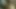 I Record Myself Sucking And For Him To Enjoy - LunitaRabbit
