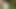 Büyük boşalma