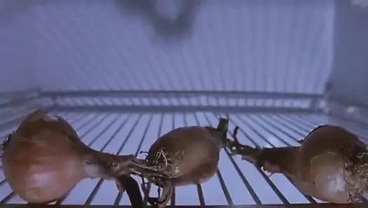 Claudia koll solo in culo