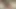 SES YOK! - Suzzy klitorisiyle oynuyor, büyük bir dildoya biniyor ve hızlı tahrik edici bir sakso çekiyor