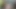 Brad 3