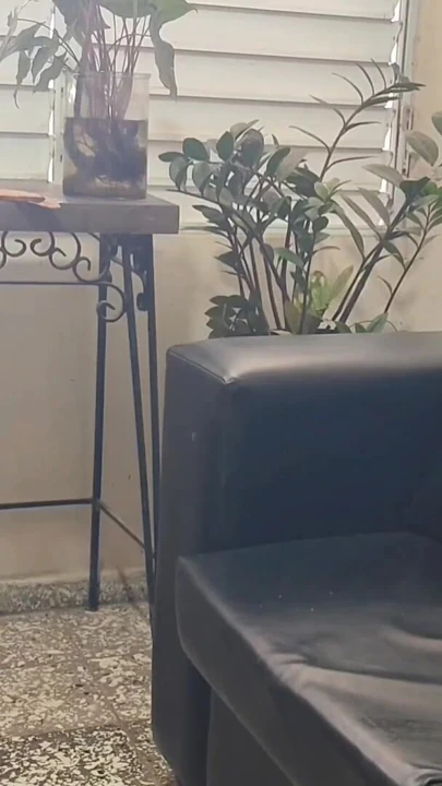 Yeni bir modelle yarağını götüme sokuyorum, o geliyor ve sen daha fazlasını istiyorsun. | Klip 3