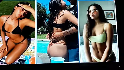 Isabela paralı döl haraç