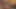 Fileli seksi Anita Vixen üçlü sikiş sahnesi tadını çıkarıyor