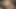 Anal fuck and a2m with pretty teen and massive cock