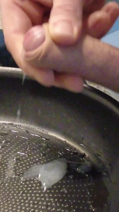 Melted Cheese Sandwich | Clip 1