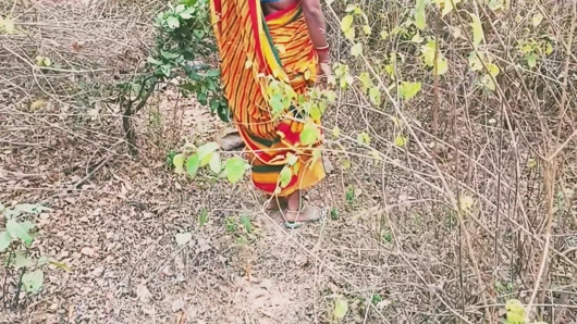 Indian Bhabhi Devar Homemade Sextape MMS monik