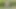 Ellie Mastürbasyon açık havada içinde solo eylem