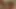 LAA0011 Kali Roses Cums You Up Preview Kali Roses