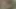Yarak seven genç kız erkek arkadaşının sert sikini götten memnun ediyor