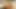 İlk porno çekimi için küçük yarağını emiyor