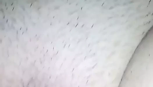 bulgaristan seks bulgaristan