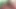 Porno Dan ve üvey oğlu takım itaatkar küçük tavşan Alexa Flexy - porno dan 4k