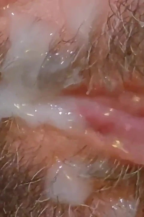 Dildo'm tarafından sikilirken, ağzıma boşalıyorum ve boşalmayı yutuyor