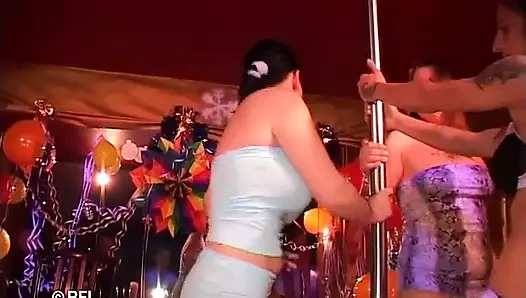 Yarak emiciler partisi