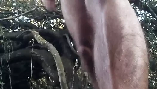 Sborrata con bestemmie nudo nel bosco