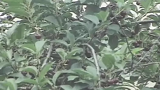 Üç azgın adam muhteşem Fransız sürtüğü sikiyor