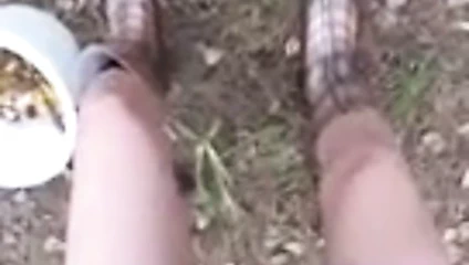 Mantar için ormana gidelim