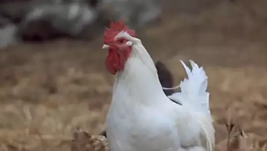 Dünyanın 1 numaralı kadın seri katili - yeni kurbanlar arıyor