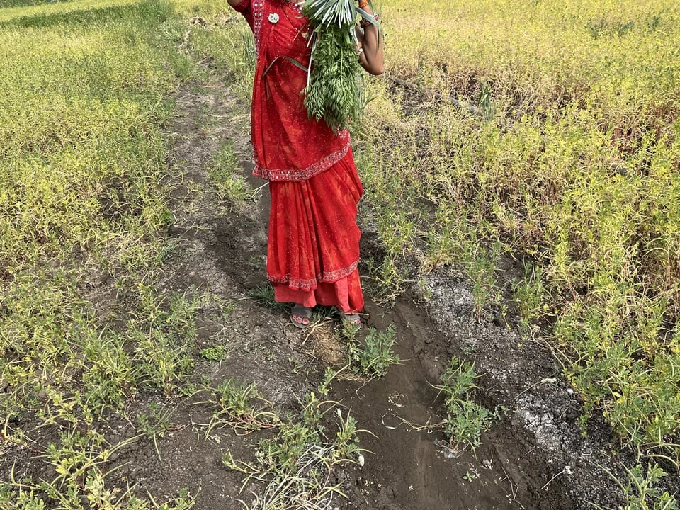 Premium Desi Aunty Ki Pussy Full Sexy Babe Babe Porn Feat Ritu (Uncut) - Austria Special