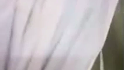 saree.mp4 seksi bayan