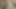 White boy fucks horny native in the ass at the forest