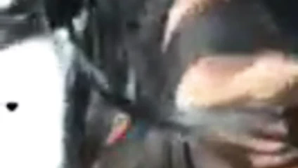 Kız arkadaşını paylaş