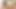 Güzel travesti Marcelle Herrera götünü sikmeden önce emmesine izin veriyor