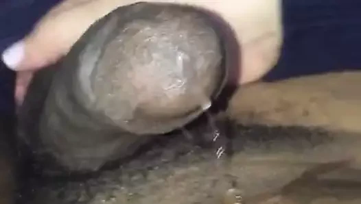 Latina eller süt zonklama bbc pt 1