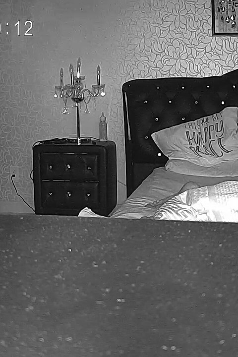 Onu köpek stiliyle becerdikten sonra vajinasını yalar