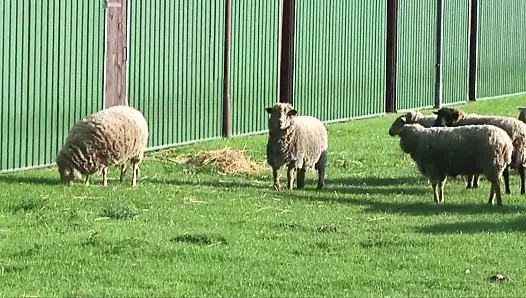 Alman kırsalında sıcak seks 2 - bölüm 5